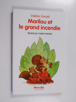 Valerie Zenatti (auteur jeunesse).) : Marilou et le grand...