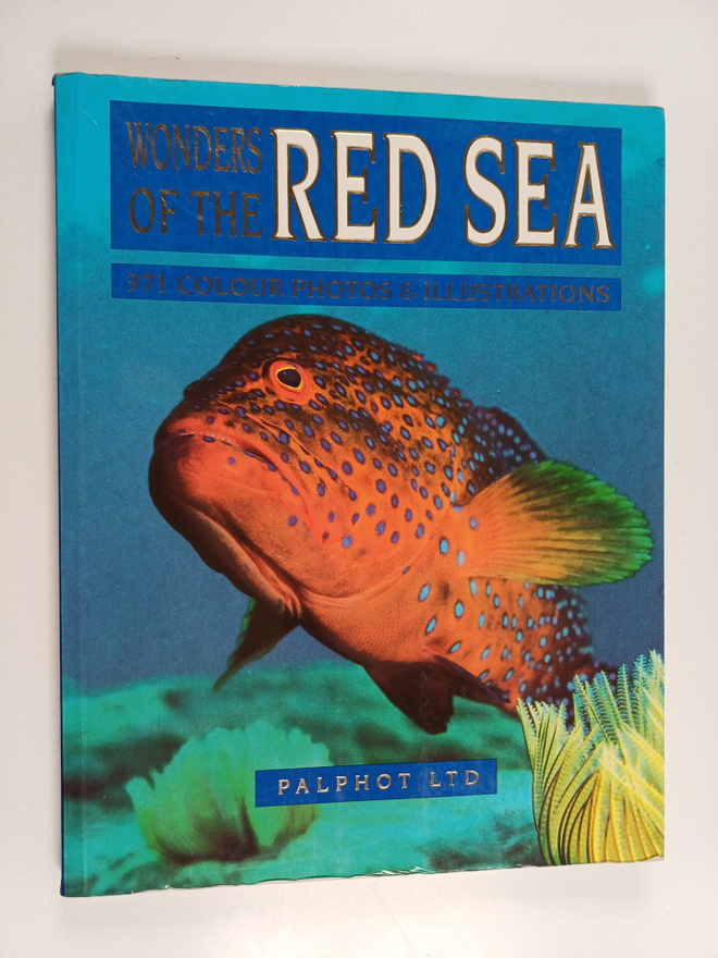 David Fridman : Wonders of the Red sea
