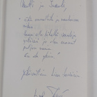 Rene Nyman : Vettä, viintä, tuulta ja tyyntä : tapahtumia... - pikkukuva 3