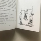 Klementiina – viikon ystävä – Sara Pennypacker - pikkukuva 4