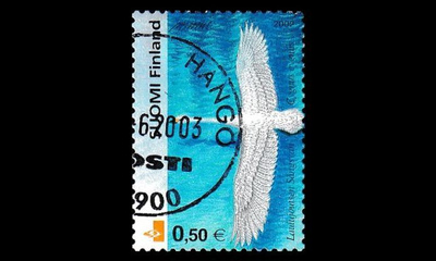 1595 o Joutsen (2002)