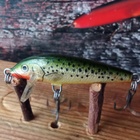 Rapala Countdown 5cm - pikkukuva 2