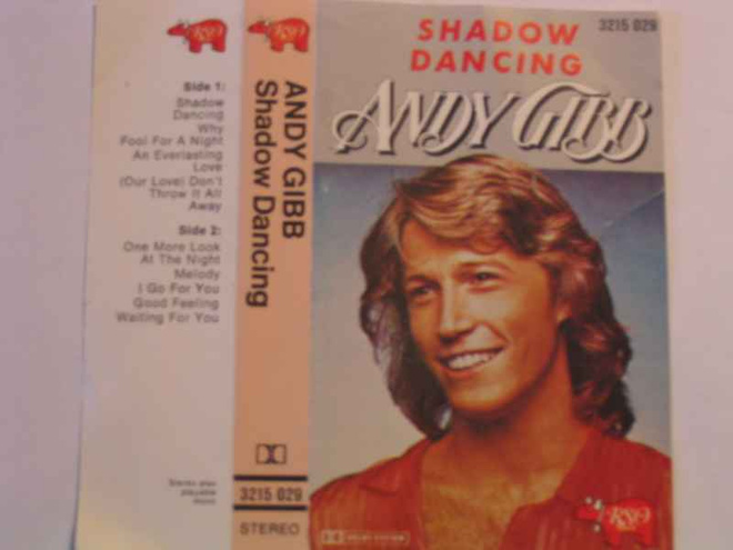 ANDY GIBB-SHADOW DANCING