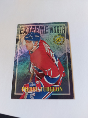 1995-96 Stadium Club Extreme North #EN7 Pierre Turgeon