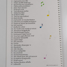 Laulukontti : yhteislauluja - pikkukuva 2