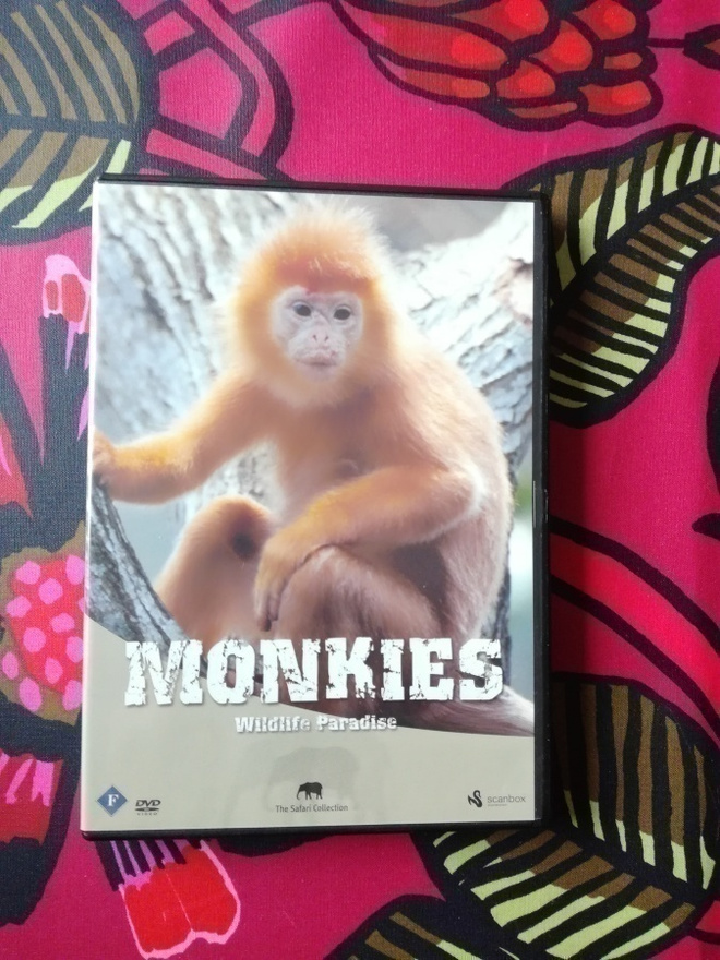Monkies Wildlife Paradise - dvd - uudenveroinen!