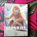 Monkies Wildlife Paradise - dvd - uudenveroinen! - pikkukuva 1