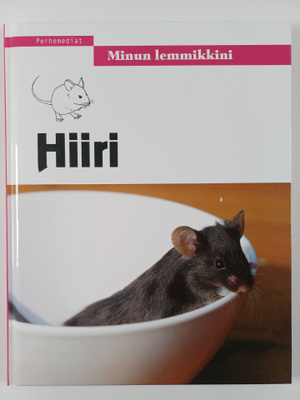 Hiiri