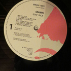 cramps lp: stay sick! 1990 UK. envlp 1001 - pikkukuva 3