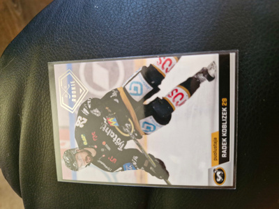 Radek Koblizek rookie 632/999