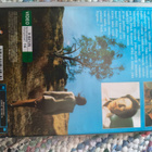 Haudan salaisuus (Grave Secrets, 1992) VHS – Harvinainen kau - pikkukuva 3