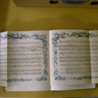 Axel O. Heikel: Brunnsparkens historia 1834-1886 - pikkukuva 4