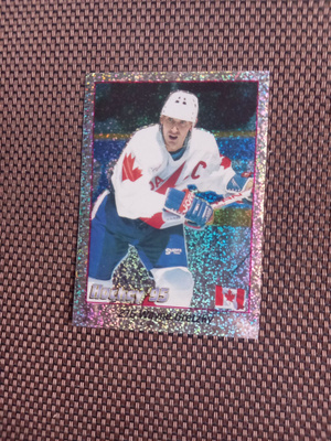 Panini Hockey 1995 stickers Wayne Gretzky.