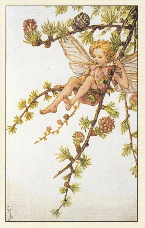 Cicely Mary Barker: Kukkakeijut lehtikuusi