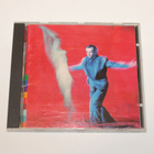 Peter Gabriel: Us - pikkukuva 1