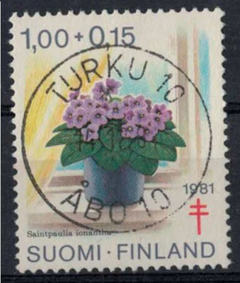 1981 tub 1 mk loisto