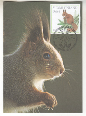 Maksimikortti Orava