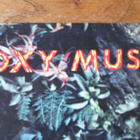Roxy Music – Stranded (1. UK-painos 1973! RARE-LP) - pikkukuva 4