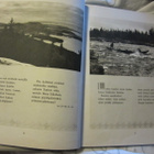 Kalevalan kauneutta Valokuvin valaistuja runosäkeitä v. 1935 - pikkukuva 3