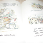 Gray - Rees Pikku Possun lahja - pikkukuva 2