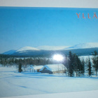 Ylläs, Äkäslompolo - Ylläksen huiput, p. 1995 erik.leima - pikkukuva 1