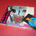 V/A - STRANDED IN THE DOLL'S HOUSE UUSI CD - pikkukuva 1
