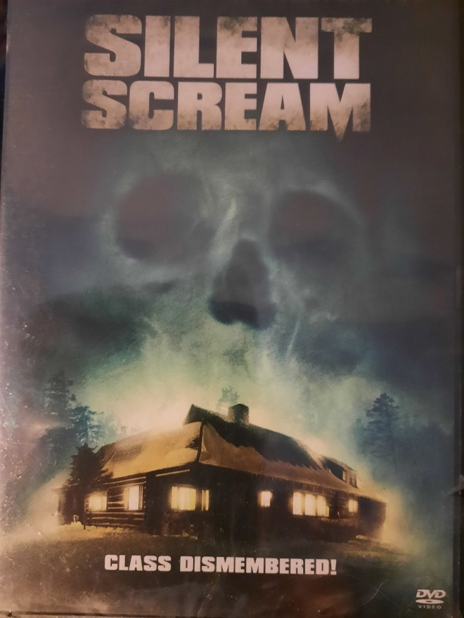 SILENT SCREAM - DVD