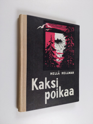 Hellä Hellman : Kaksi poikaa : pienoisromaani : kertomuksia
