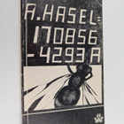 A. Hasel : 170856-4293A - pikkukuva 1