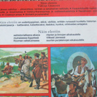 4 kpl:n paketti nuortenkirjoja - pikkukuva 3