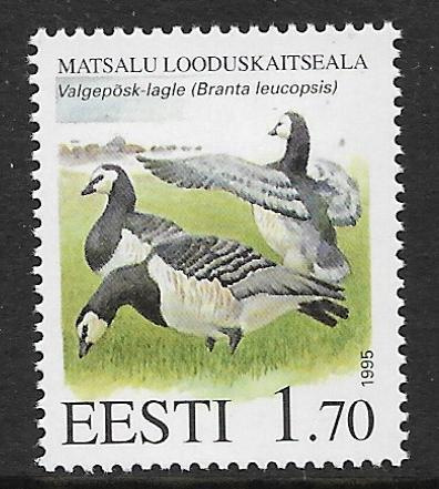 Viro - Matsalun luonnons. 1995 (LAPE 245) **