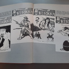 Kansanvaltuuskunta punaisen Suomen hallituksena, kapina - pikkukuva 3