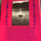 Angry Women Re/Search 1991 - pikkukuva 2