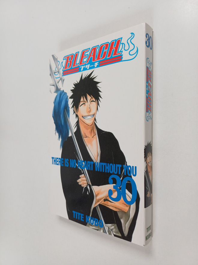 Tite Kubo : Bleach, 30 - There is no heart without you