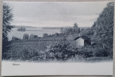 Siuro postikortti+negatiivi