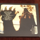 DAMN SEAGULLS - HUNTING SEASON - CD - pikkukuva 2
