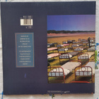 LP PINK FLOYD A Momentary Lapse of Reason - pikkukuva 3