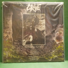 GRAVE - INTO THE GRAVE M- / M- EU-2023 LP - pikkukuva 2