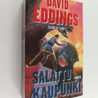 David Eddings : Tamulin taru 3 : Salattu kaupunki - pikkukuva 1