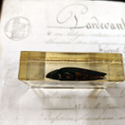 Natura Obscura – Entomologinen näyte no. 368 - pikkukuva 2