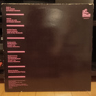 The Leather Nun - Pink House 12" - pikkukuva 2