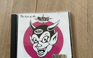 Polecats-the best of the polecats