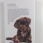 Nina Mäki-Kihniä : Koira : suuri koirakirja - pikkukuva 2