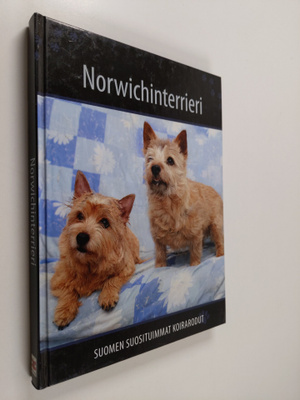 Norwichinterrieri