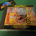 SIELUN VELJET - SOFTWOOD MUSIC.. CD KAHDELLA NIMMARILLA - pikkukuva 1