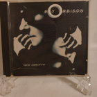 Roy Orbison: Mystery Girl - pikkukuva 1