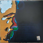 Garybaldi: Astrolabio, Italia uusintapainos LP M- - pikkukuva 3
