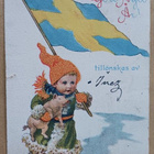 Jenny Nyström: Lapsi possu kainalossa, lippu kädessä p. 1918 - pikkukuva 1