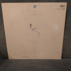 Maxi single Tina Turner - pikkukuva 2