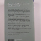 Pirjo Rissanen : Äitienpäivä - pikkukuva 2